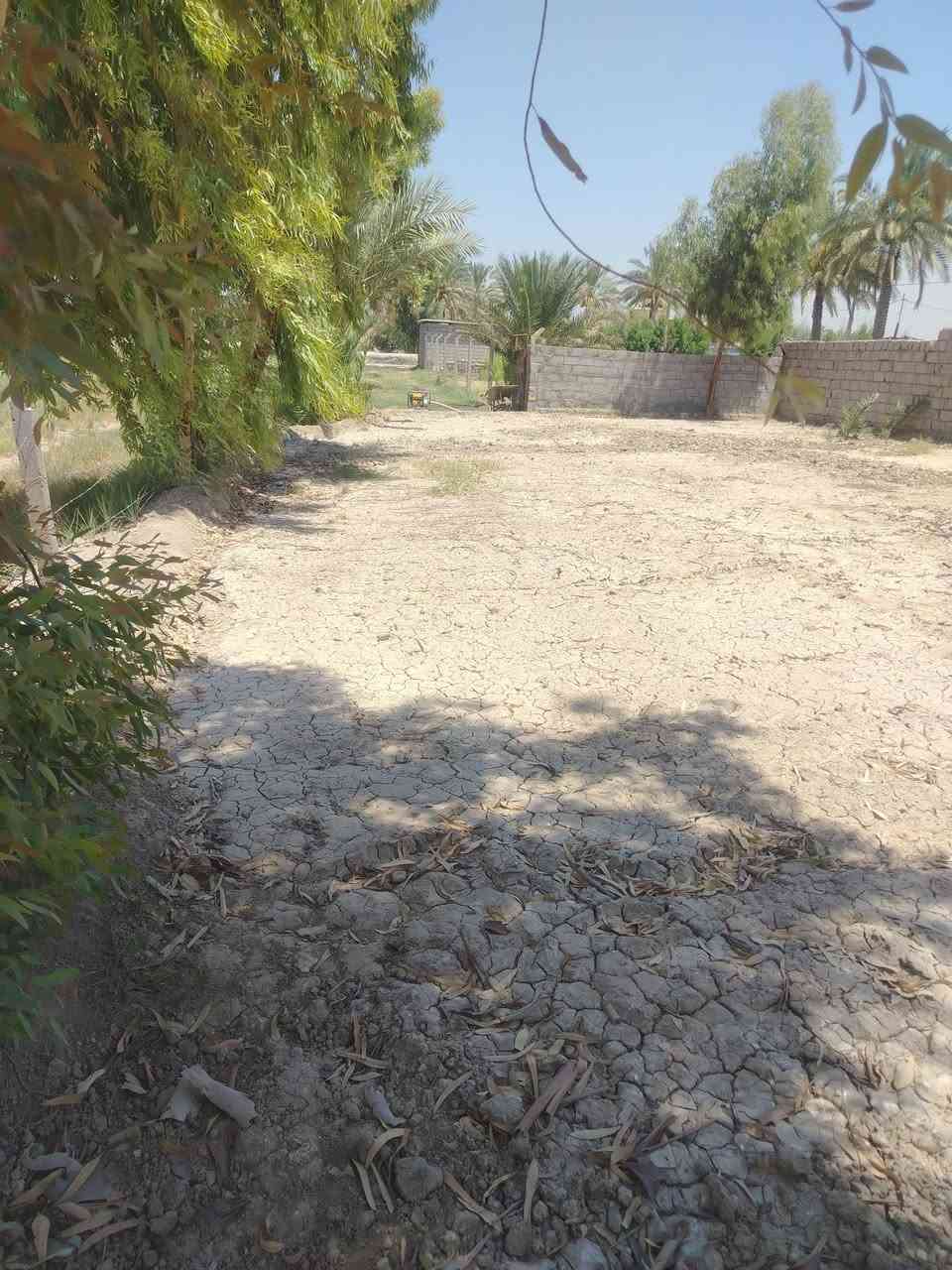 قطعة أرض للبيع المساحه 500 مع الممر طابو زراعي سند 25 يوجد فيها زرع أشجار ونخيل القطعه مسيجه بالكامل مع الدفان العنوان منطقة هوى الشام تبعد عن الشارع العام 3ونص كيلو على طريق حله قاسم متوفر كافة الخدمات كهرباء وماء.... السعر 12 مليون
للتواصل على الرقم ***********
