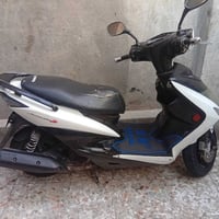 سكنس نوزل • فحل • مراوس