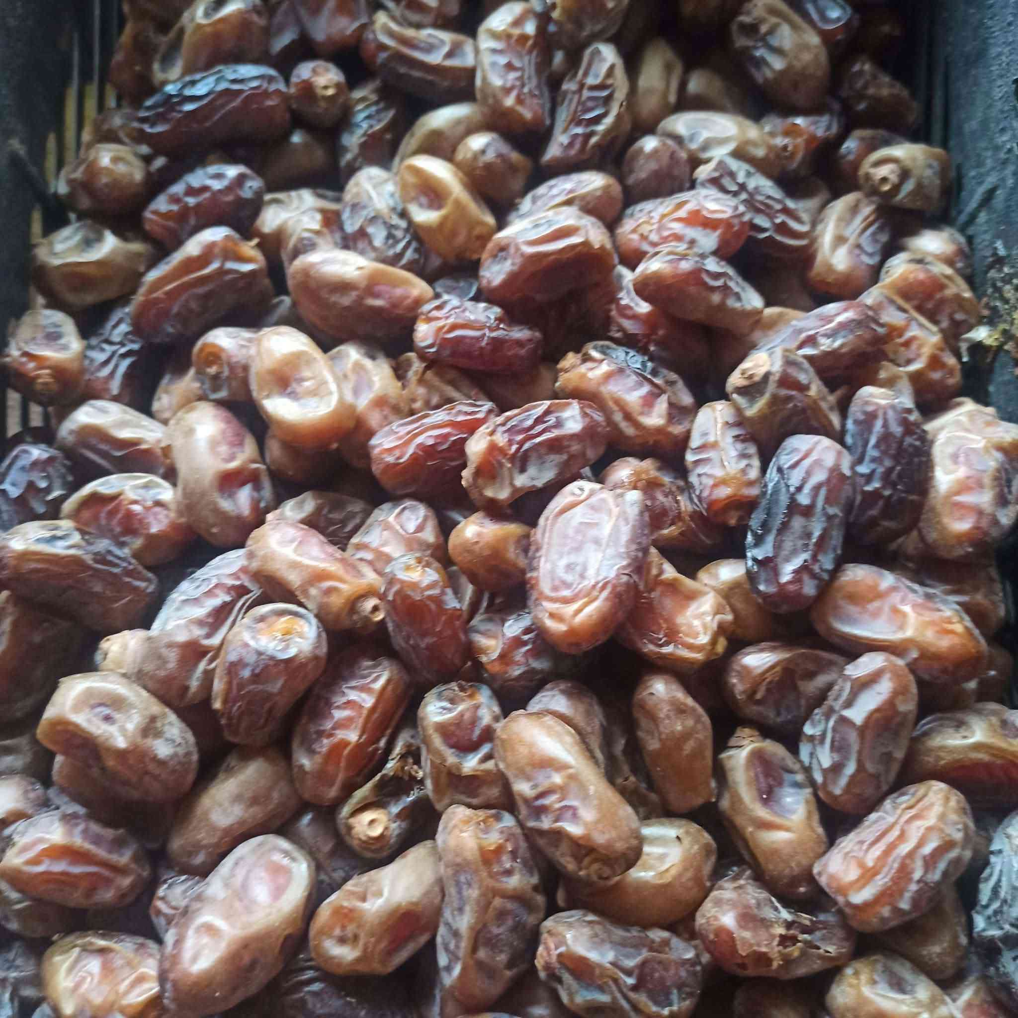 رطب شويثي • نضيف • جاهز للجبس