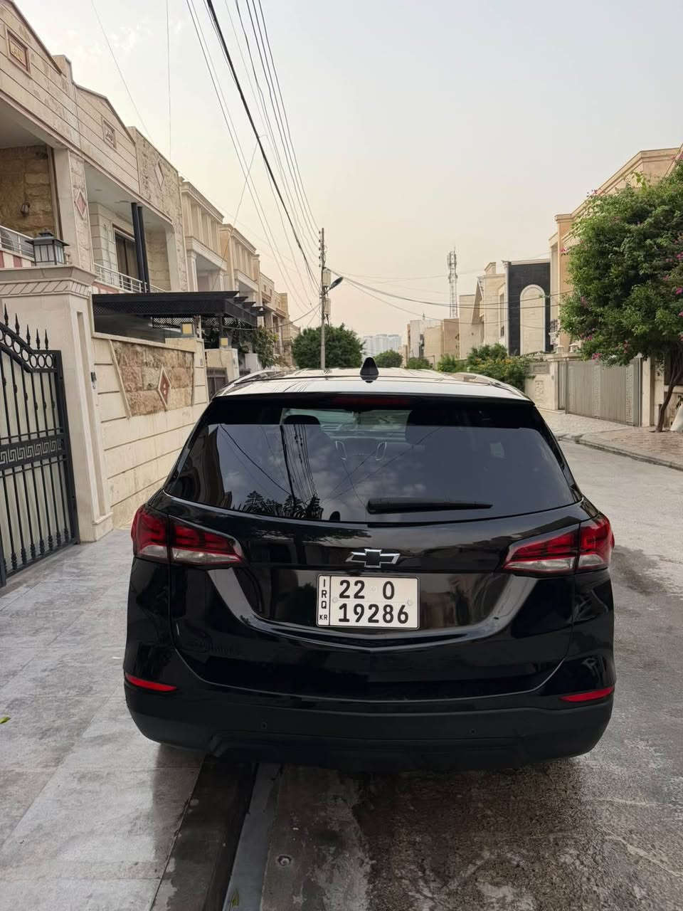 ايكونيكس ٢٠٢٤ • بدون صبغ • رقم اربيل