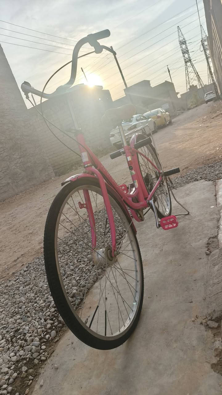 باسكل • حجم ٢٦ • موديل ٢٠٢٠