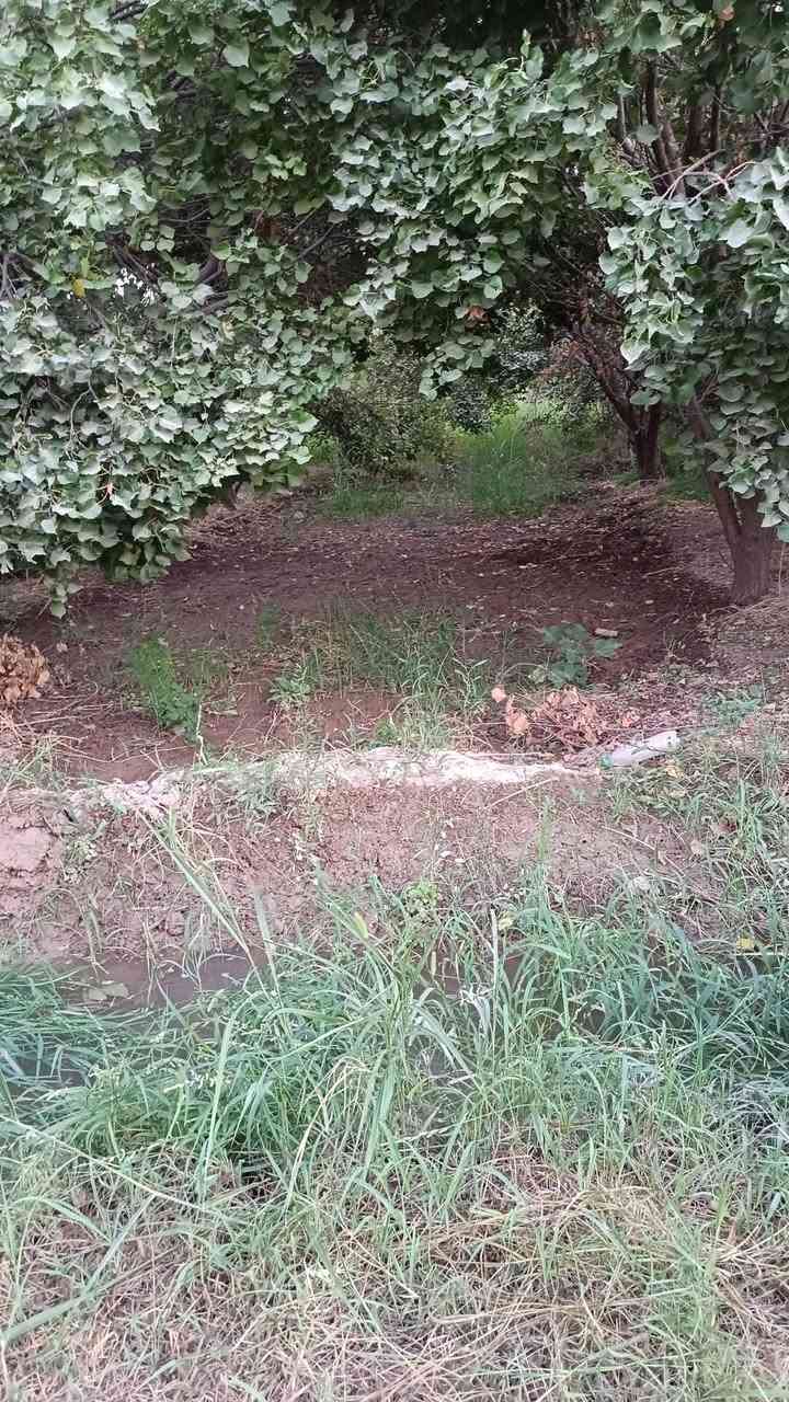 سلام عليكم أرض دونم البيع مناصفه سند 25 بغداد شاطئ التاجي قرب جسر المثنى مشجره مشمش 🌲
رقم الهاتف ***********
