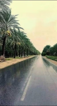 خلف جامعة المستقبل • سند زراعي ٢٥ • ٢٠٠م