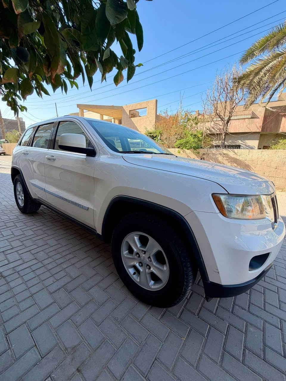 لاريدو • ٢٠١١ • رقم بغداد