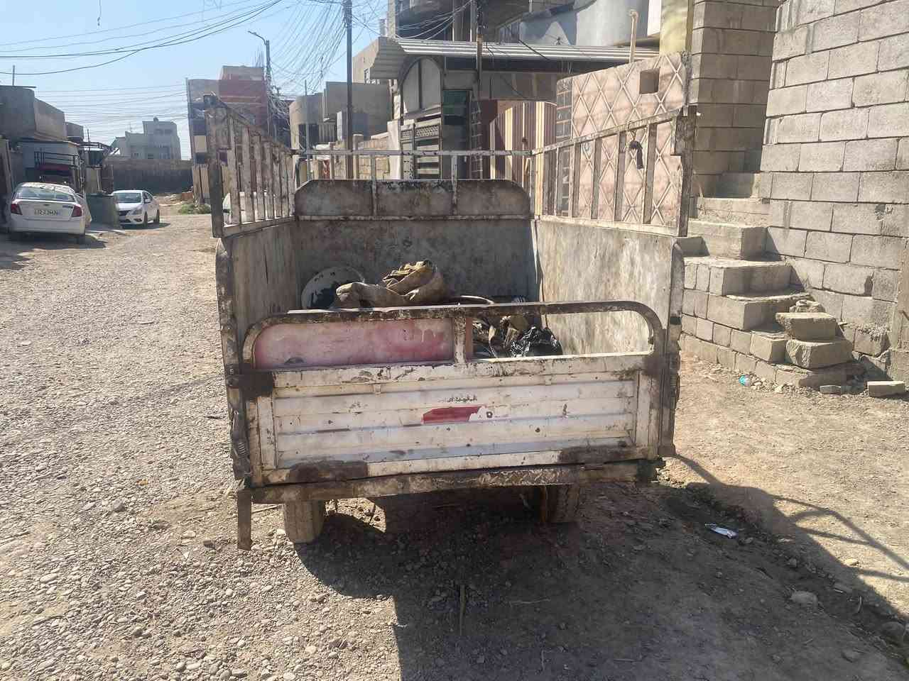 ستوته بعيره البيع *********** واتساب فقط
