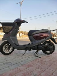 منغولي • نظيفة • سلف