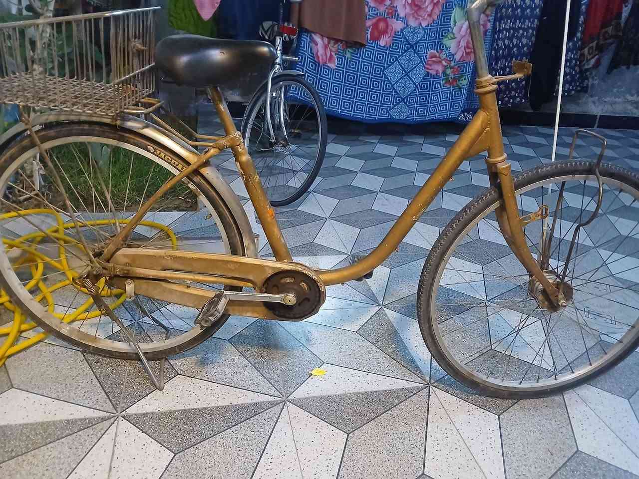 باسكل • البصرة زبير