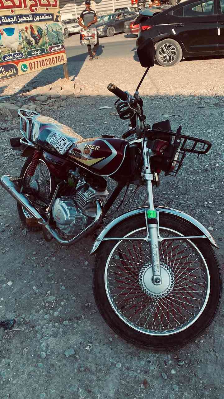 تايكر • كهربائية • ٢٠٢١