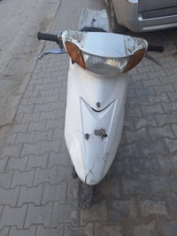 عصفورية • ابيض • مكفولة
