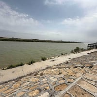 الرمادي زنكورة • 1 دونم • على الشط