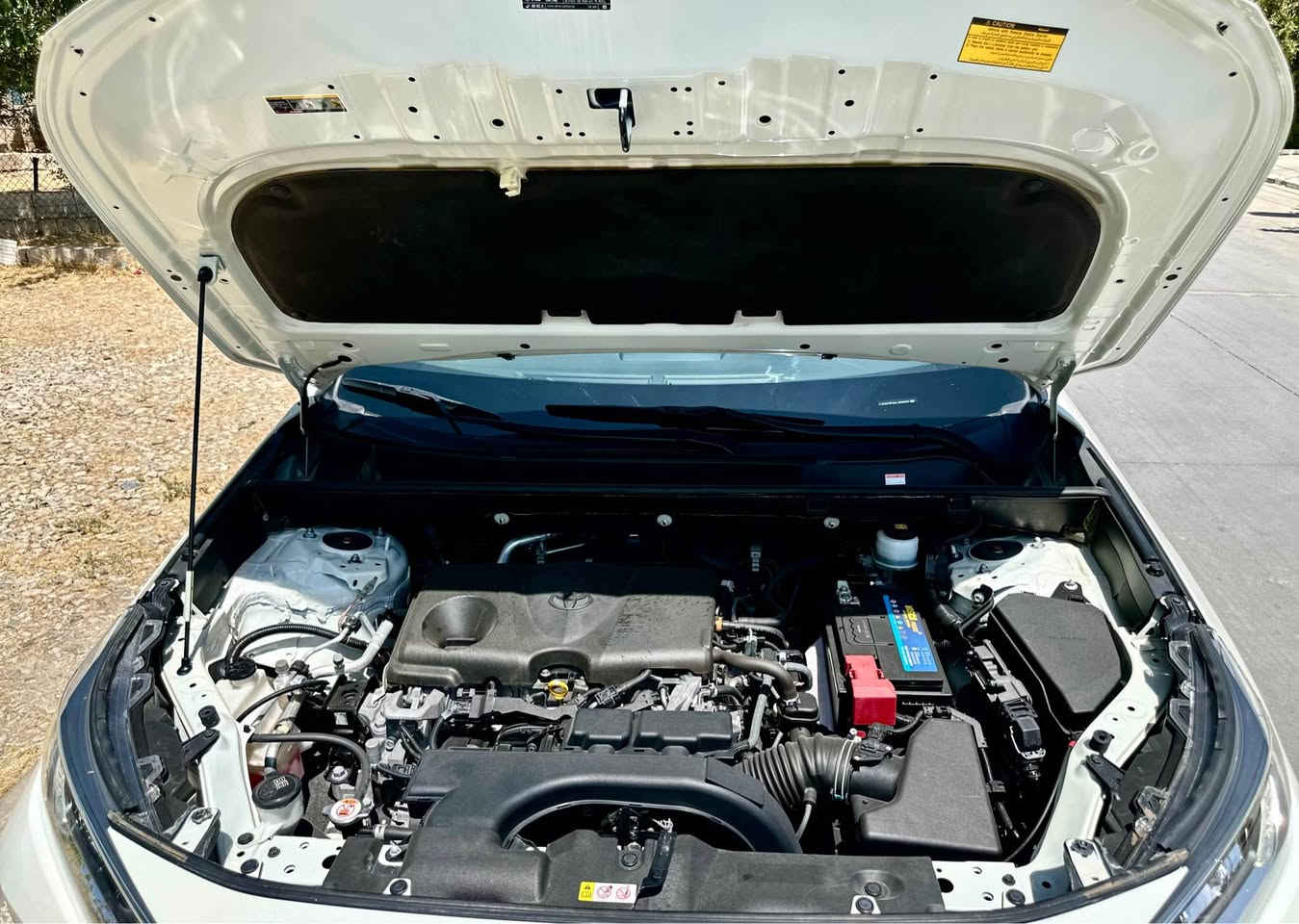 TOYOTA RAV4
﷽

تۆیۆتا ڕاڤ4 خلیجی سفری شەریکە بۆ فرۆشتن
مۆدێل 2020
سەیارەکە زەمان و سفری شەریکەی سازە و ماڵی دۆستە 
بێ بۆیاخ و قەپ و قۆپە ٢ پەنجە pdr هەیە و هیچ پێوەی دیار نیە تەنها چاڵێک بووە چاک کراوە،  دەعامی بۆ دەعامی بە شەرت
سێرڤز و هەموو شێک کراوە تەقە و ڕەقەی نیە چوار تایەی یابانی لۆکی بۆ بەستراوە گێڕو مەکینەی بە شەرتی هەموو شتێک نەکراوەتەوە و هەلم و بوخار و سەوتی نیە وەك سفرە ماشاالله 
مەسەفاتی فولە.....
دەبڵ ئەکسل ئۆتۆو.. 
ئۆتۆ هۆڵد
برێک بەسمە و ئۆتۆو
سێ مۆدی لێخوڕین ( eco-nurmall-sport)
گێڕ عادی و تۆتۆماتیک
بەسمە و شەغالە ( هەردوو بەسمەی بیلادی لەگەڵە)
شاشە و کامێرە و شاشە گەورە
تەبرید لەمس و دوو زۆن و مەرکەزیشە
حاسەی پێشو دواوەی هەردو دەعامی
دۆسە لید بیلاد
ناو خەنەیی
ئاوێنە -(دژە فول+هیتەر+ئاوێنەکانی شەفتە+ لید+هیتەر)
سەقف سڵایت و ماوسی سەر سەقف بیلاد
توڵ و بلاجکتۆر
لایت ئۆتۆ
لایت بیلاد لیدی سەر لایت و عەدەسەی زینۆن 
بەگلایت لید و لێزەری تەم
چارجی موبایل شەحن کردن
چوار جام ئۆوتۆ
سپێری دانەبەزیوە هەموو ئەشیای بلادیەکانی ماوەو لەگەڵیەتی
سەیارەکە ماڵی دۆستەو دوو
دەستی کردوە و بە ناوی خۆمەوەیە ١١٥ هەزاری هەقیقی ڕۆشتوە
سعری 246$ مەجالێکی برایانە
ژم/ ***********
شوێن سلێمانی السليمانية, العراق
