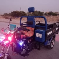 ستوته • موديل 23 • رقم وسنوية