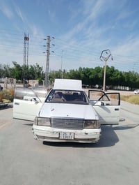 راس الثور • ١٩٩٨ • وارد سعودي