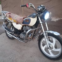 جونده • ٢٠١٢ • مكفوله