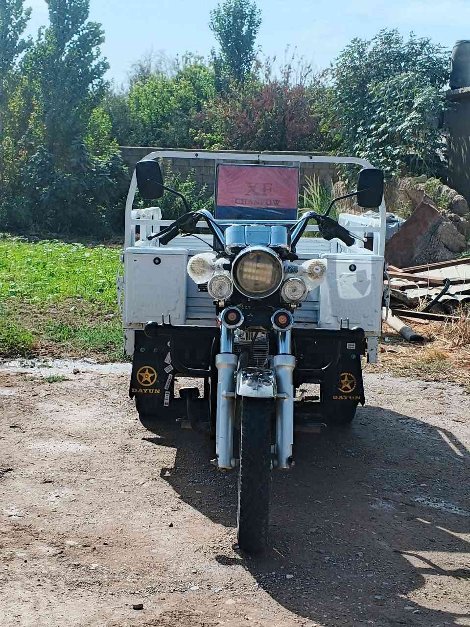 ستوتة ام الطير • ١٥٠ • ٢٠٢٤