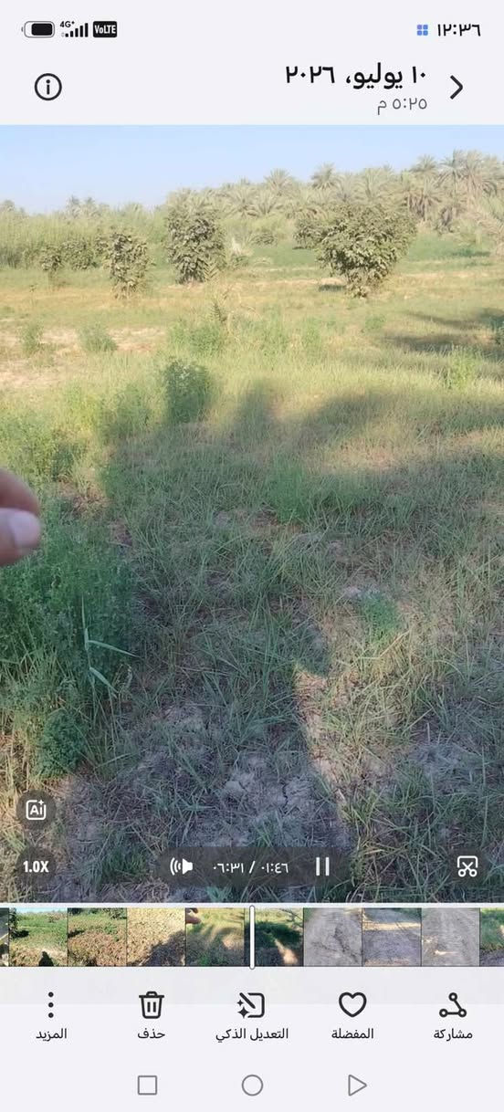 السلام عليكم لليريد ارض زراعيه المساحه 7 دونم اتريد نص منه ماكو مشكله جنس العقار طابو زراعي سند 25 تحويل سهم تحتوي ع 50 نخله حمال وبيه جديد متوفر مي سقي كهرباء العنوان السياحي قرية الرواشد تبعد عن شارع السياحي كيلو ونص قسم تبليط وقسم ترابي عرض الشارع 8 متر سعر الدونم الواحد 30 مليون وبيه مجال للاستفسار اكثر مراسلة الصفحه او الاتصال ع الارقام التاليه
***********
***********

نص مكتوب في الصور:
- ١٠ يوليو، ٢٠٢٦ ٥:٢٥ م ١.0X ٠:٣١ / ٠:٤٨ المزيد حذف التعديل الذكي المفضلة مشاركة ١٢:٣٦
- ١٠ يوليو، ٢٠٢٦ ٥:٢٥ م ٠١:٤٦ / ٠٦:٣١ التعديل الذكي المفضلة مشاركة حذف المزيد
- ١٢:٣٥ ١٠ يوليو، ٢٠٢٦ ٥:٢٥ م ١.0X ٠٠:١١ / ٠٦:٣١ المزيد حذف التعديل الذكي المفضلة مشاركة
- ١٢:٣٩
- ١٠ يوليو، ٢٠٢٦
- ٥:٢٥ م
- ١.٠X
- ٠:٣١ / ٠:٤٧
- المزيد
- حذف
- التعديل الذكي
- المفضلة
- مشاركة
- ١٠ يوليو، ٢٠٢٦ ٥:٢٥ م ١٢:٣٩ 1.0X ٠٢:٠٢ / ٠٦:٣١ المزيد حذف التعديل الذكي المفضلة مشاركة
- ١٠ يوليو، ٢٠٢٦ ٥:٢٥ م ١٢:٣٩ 1.0X ٠٢:٠٢ / ٠٦:٣١ التعديل الذكي المفضلة مشاركة حذف المزيد