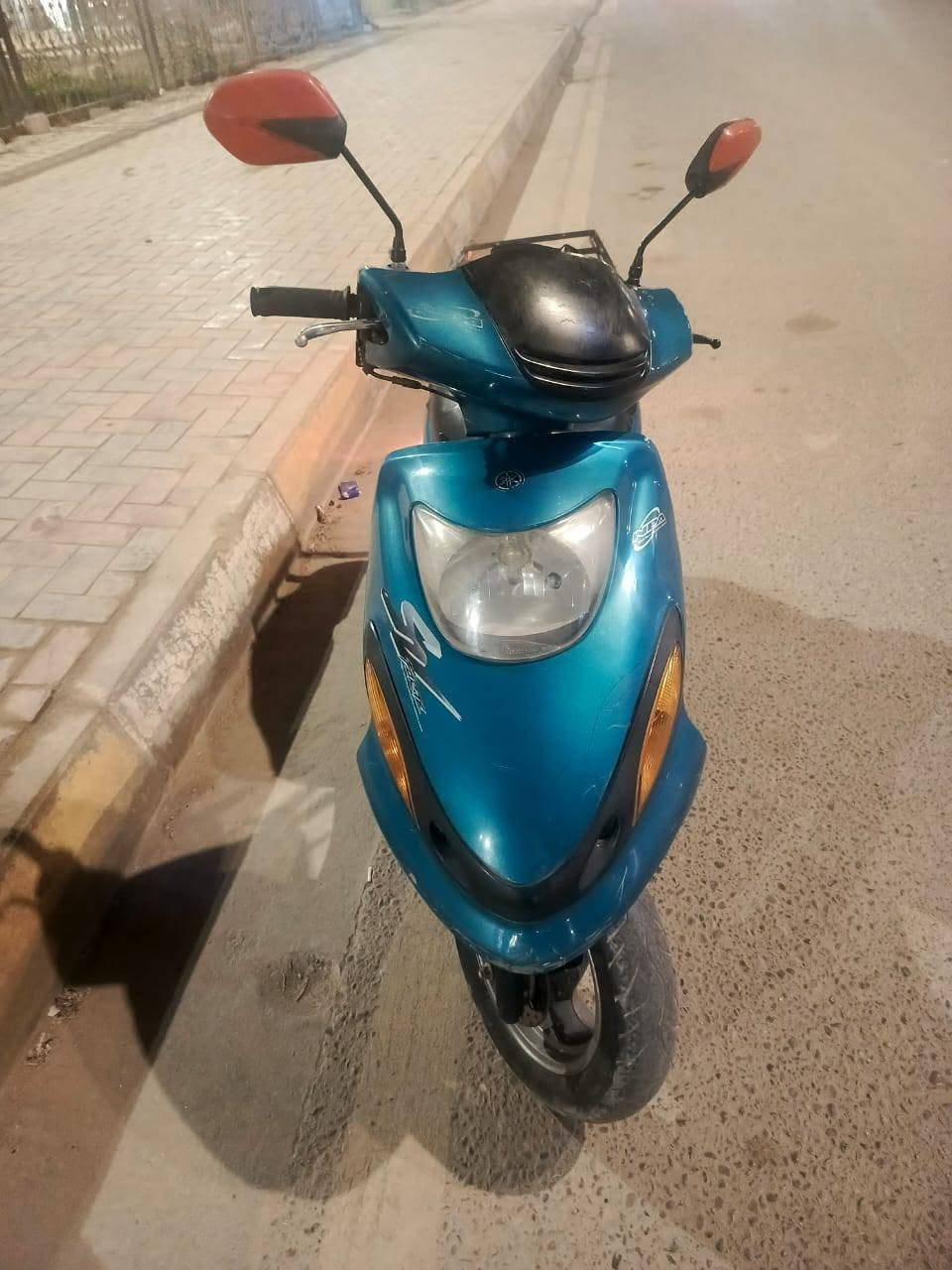 دولفين • ١٤٠ • فحل