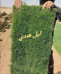 ثيل • احجز • توصيل