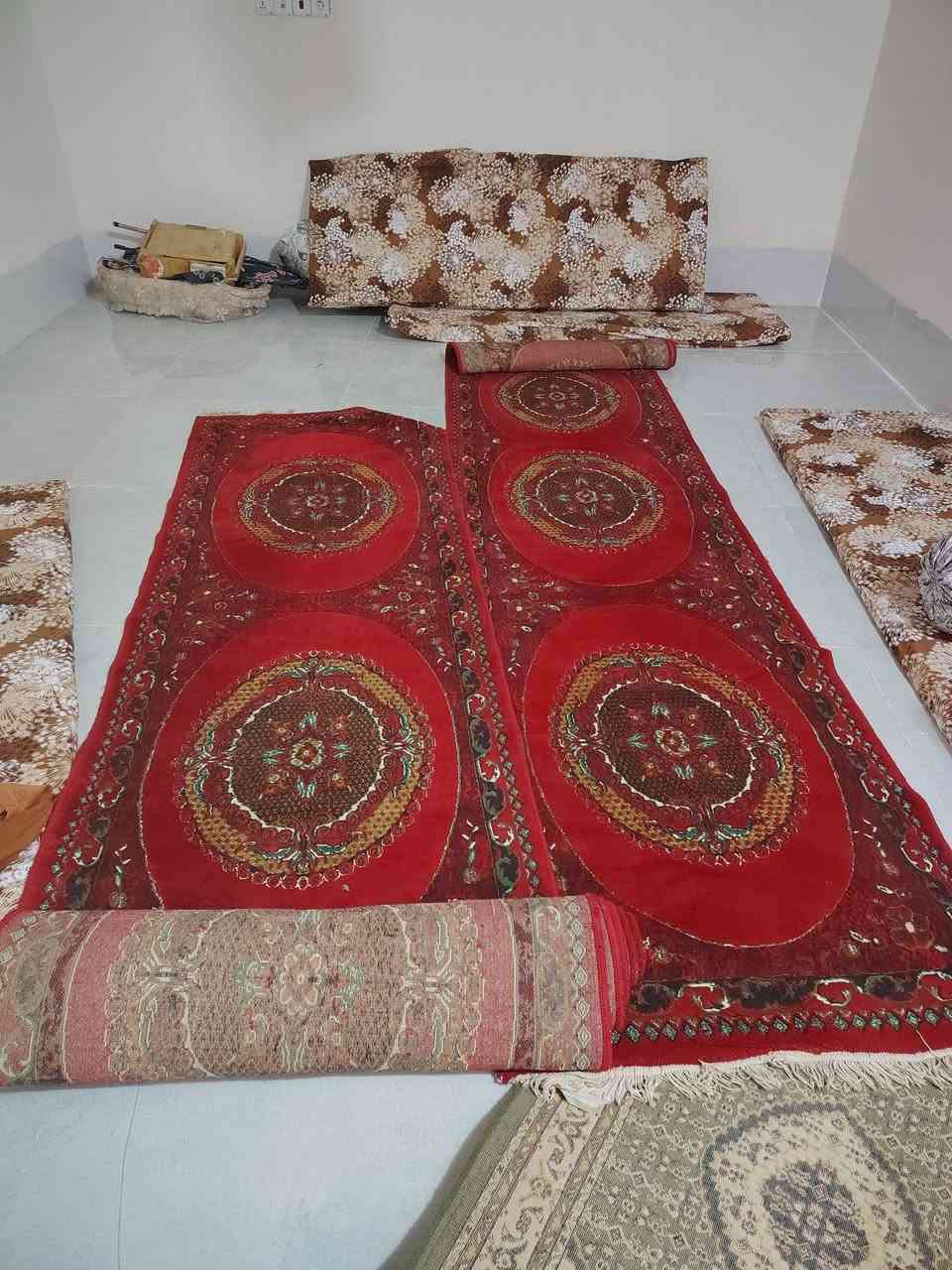 زولية • مدات • جديدة