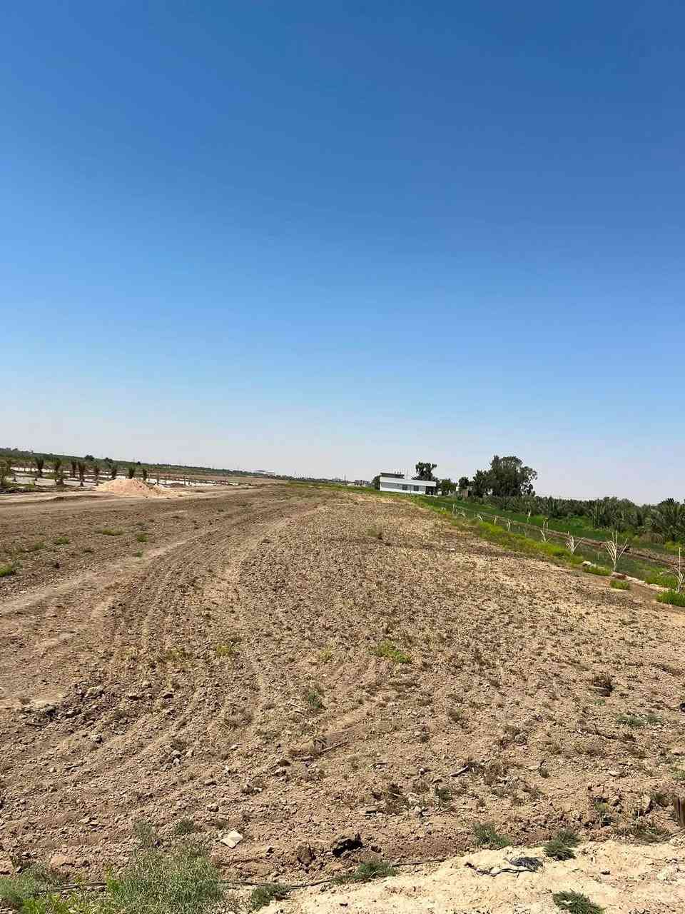 ✅توجد ٣ دوانم للبيع طابو زراعي ٢٥ متوفر كافه الخدمات 

الموقع طريق كربلاء نجف عمود 1141 منطقة الجذار 

سعر الدونم ٧٥ مليون وبيه مجال للشراي 
للاستفسار ***********
