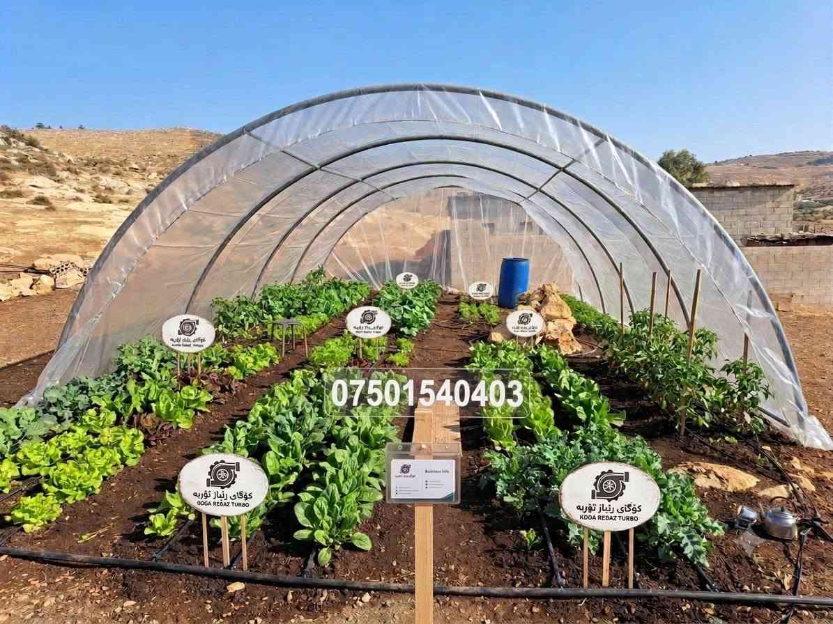 بەیتی پلاستیکی بچوک بۆفرۆشتن قیاسی6م بە4مترە بەرزیەکەی220سم بێ چادرە نرخی یەک بیت 85000هەزارە گه یاندنیشمان هەیە ناونیشان دووسایدی گشتی چوارقوڕنە گرجان بەرامبەر گوندی گرجان کۆگای ڕێباز تۆربەی ژم***********ژم*********** رانية, السليمانية

نص مكتوب في الصور:
- 2024/02/14 11:23
- ***********