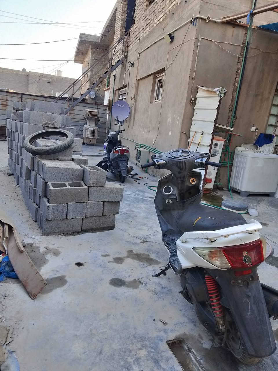 سكنس فحل للبيع مكينه بلاديه تايرات جدد اصلي شلعه معدل فول دراجه مال جناي كهرباءيات كله شغال بريكات جدد كفره نضيف عوزه تلحيضات دراجه عله ايدي بيه ملحضات بصيطه سعره 600 وبيه مجال مكاني شعب رقمي*********** رصيد
***********واتساب
