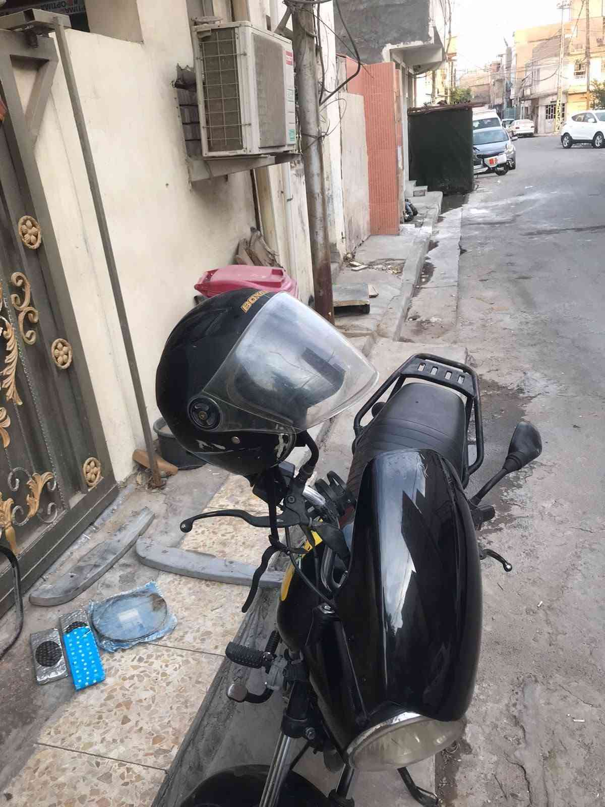 بوكسر • بدون أوراق • زنجايل شركه