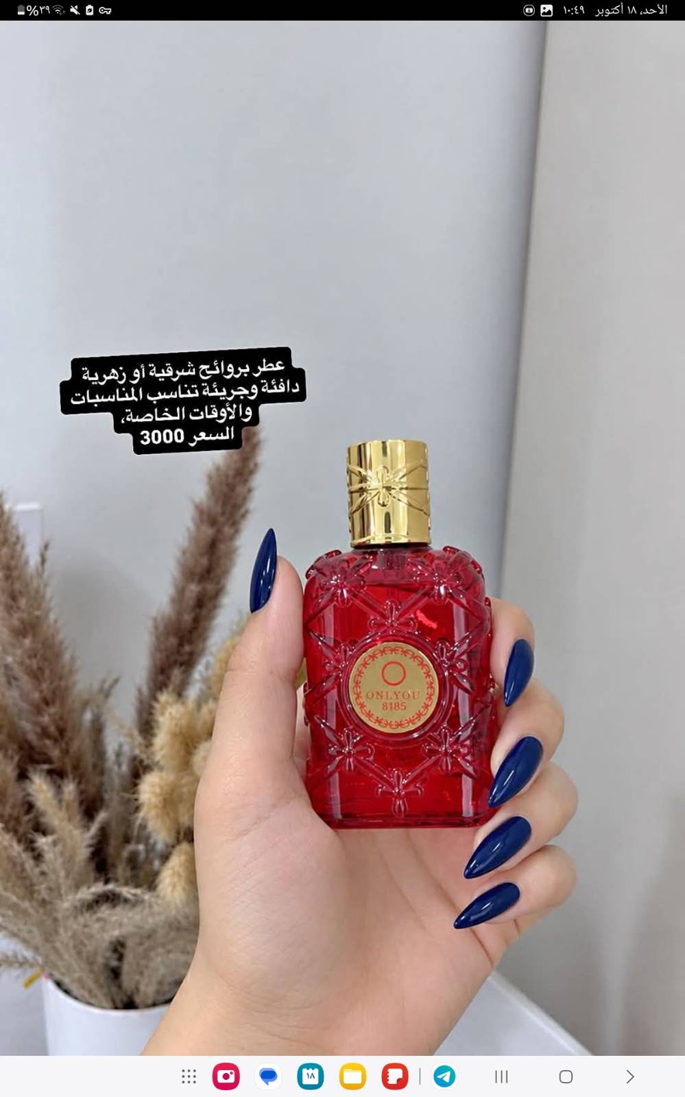 مكياج • رخيص • توصيل
