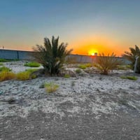 ٢٥٠م • واجهة ١٠م • خلف جامعة بابل