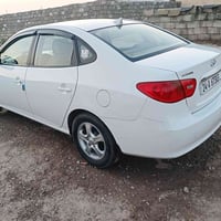 لنترى • ٢٠١١ • بدون صبغ