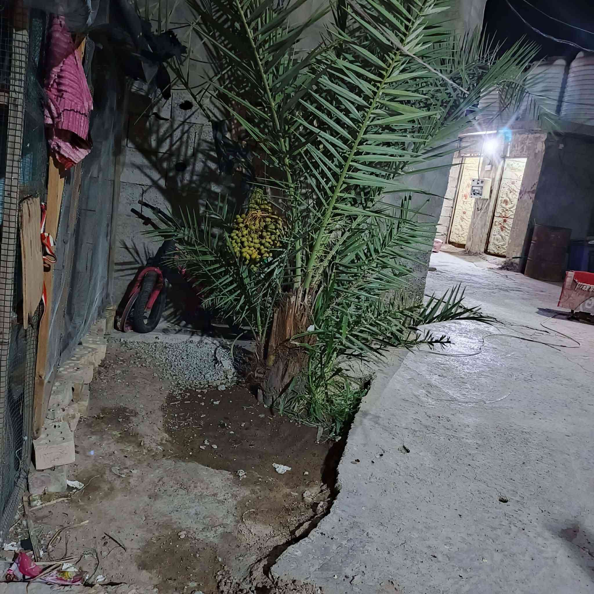 ياالله بيت للبيع مساحه 250او اكثر بي محل باب رزق بناء حديث الأساس مال البيت رفت صب عنوان البيت بضهر مطعم أحمد بديوي مقابيل المركز بدوانم كهرباء ماء جاهز اخر شي وبالعافيه على الي يأخذه السعر 36وبي مجال للطيبين  رقم صاحب البيت ***********
