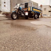 موديل 14 • رقم نكليزي • تحويل يومين