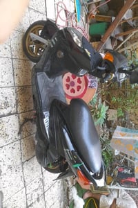 سكنس فحل • مزوده • بيه مجال