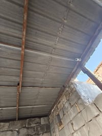 جينكو • ٦م • ناصرية