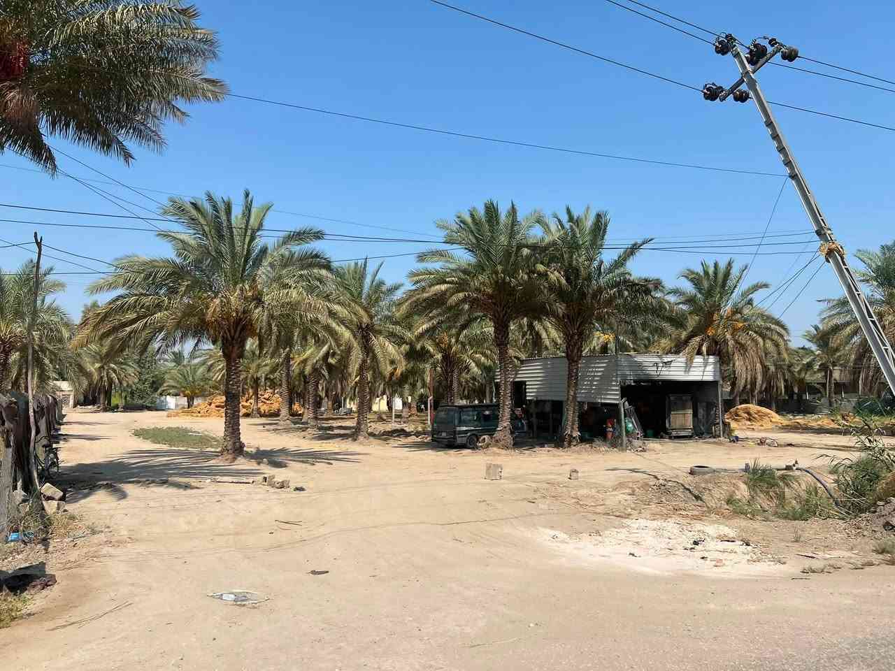 السلام عليكم 
ارض زراعيه للبيع فرع المصلخ.المساحه : 3دونم تبعد عن المشروع 150م تحتوي على بيت وبستان 
لـمعرفة السعر وللاستفسار اتصل هـ:***********
