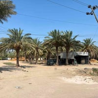 المصلخ • ٣ دونم • بيت وبستان