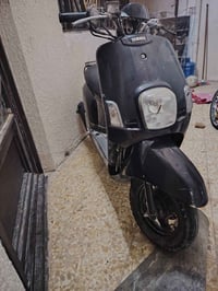 بوليسي • نوزل • ٢٠٠٨