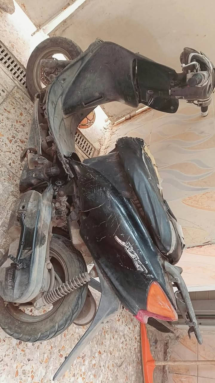 عصفوري • شغالة • كوم حديد