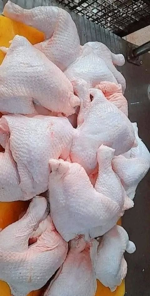 عرررض 🔴 دجاج مقطع 🔴
صدر بعظم ٥٠٠٠
افخاذ ٥٠٠٠
جناح ٤٠٠٠
ركبه ١٠٠٠
حواصل ١٠٠٠
كبده ٥٠٠٠
دجاج كامل كيلو ب ٣٠٠٠
للحجز مراسلة الصفحة او *********** واتس اب
