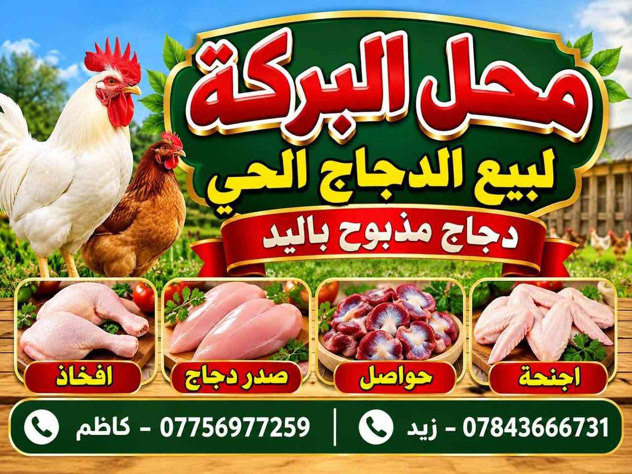 دجاج مذبوح • كبد • المحاويل