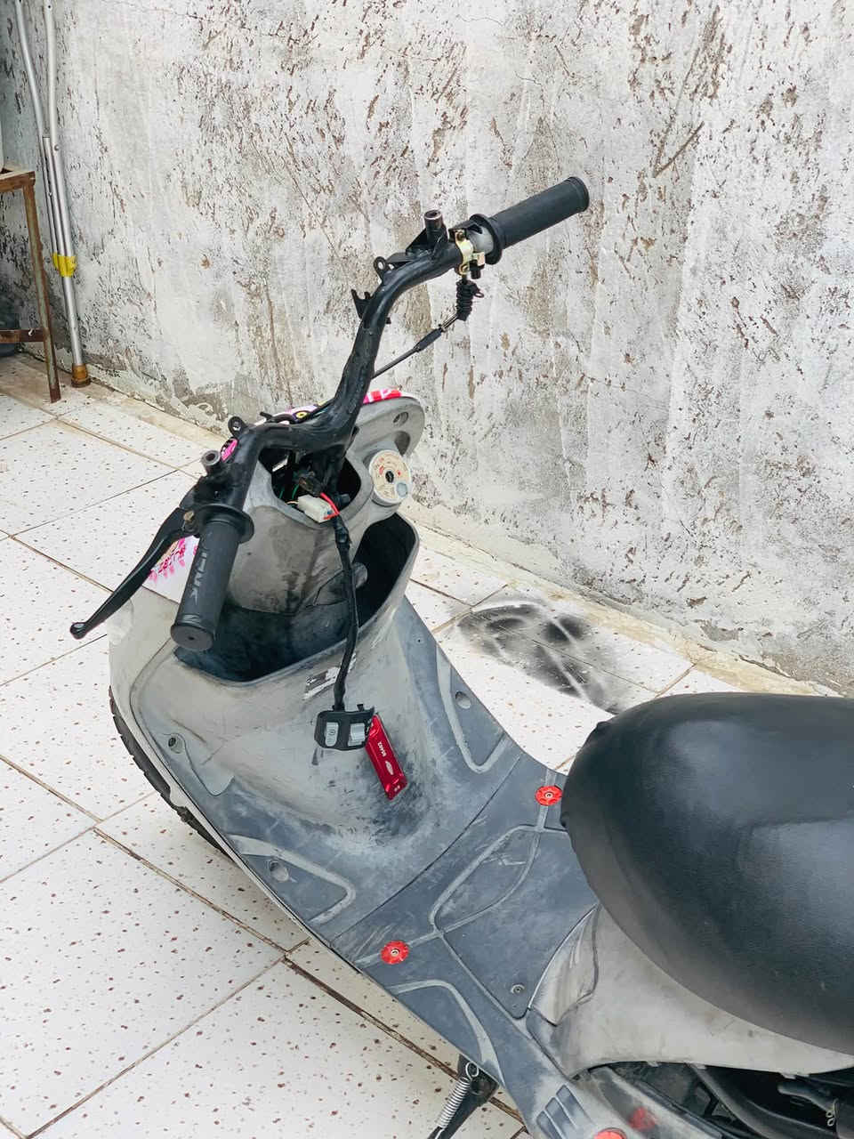 منغولي للبيع او مراوس شعدك خااص 
دراجةة مفتوحه 49 شرط نعومه لاتنقيص دهن ولا خيط بخار دراجه ناشفه غراضه كاملات مكااني نجف 
رقمي بي بس واتساب ***********
