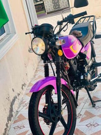 شاينك سونك • ماكس • ٢٠٢٥