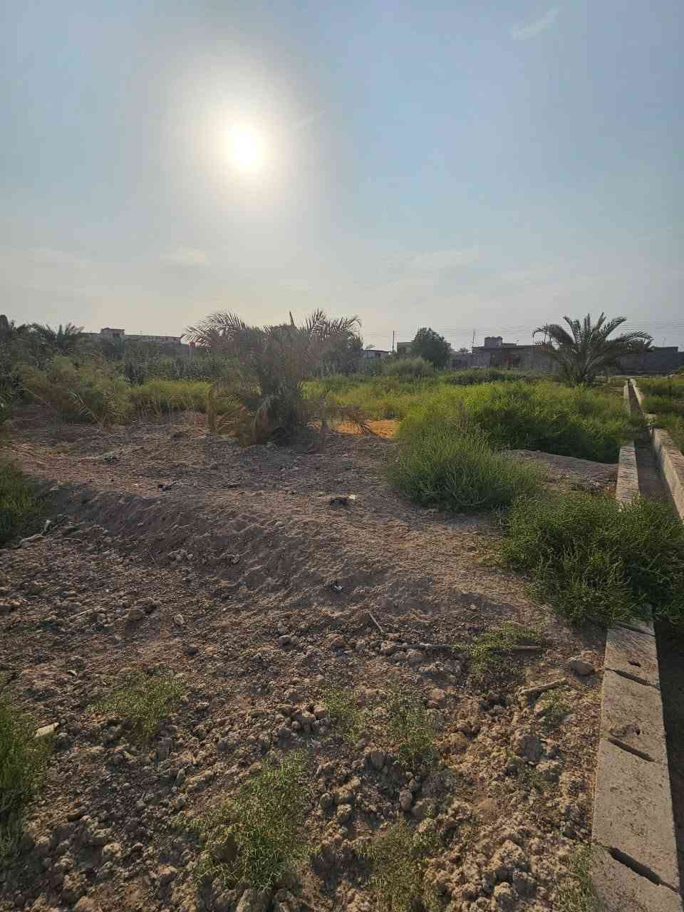 دونم • طابو صرف • ابوالخصيب
