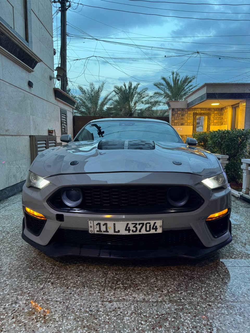 موستانغ ايكو بوست • ٢٠٢٢ • مصدومه