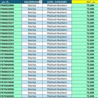 ارقام مميزه • بلاتنيوم • الناصريه