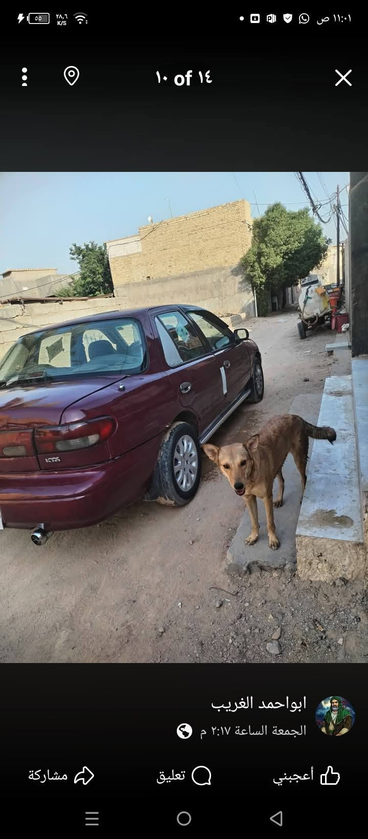 السلام عليكم كيا سيفيا موديل 95 رقم بغداد جديد سنويه جديده تحويل مباشر او وكاله باسمك سياره جاهزه جير مكينه حداديه تبريد غرفه تخم تاير باتري سياره جديده اترايك وين ما يعجبك سعر سعر 30 وبيها مجال العنوان كربلاء***********
***********
السلام عليكم كيا سيفيا موديل 95 رقم بغداد جديد سنويه جديده تحويل مباشر او وكاله باسمك سياره جاهزه جير مكينه حداديه تبريد غرفه تخم تاير باتري سياره جديده اترايك وين ما يعجبك سعر سعر 30 وبيها مجال العنوان كربلاء***********

نص مكتوب في الصور:
- ٢ of ١٤
- ابو احمد الغريب
- الجمعة الساعة ٢:١٧ م
- أعجبني
- تعليق
- مشاركة
- ١ of ١٤ ابواحمد الغريب الجمعة الساعة ٢:١٧ م أعجبني تعليق مشاركة
- ٣ of ١٤
- ٤ of ١٤
- ٥ of ١٤
- ابواحمد الغريب
- ٧ of ١٤
- ١٠ of ١٤ ابواحمد الغريب الجمعة الساعة ٢:١٧ م أعجبني تعليق مشاركة
- ٩ of ١٤ ابواحمد الغريب الجمعة الساعة ٢:١٧ م أعجبني تعليق مشاركة
- ٨ of ١٤