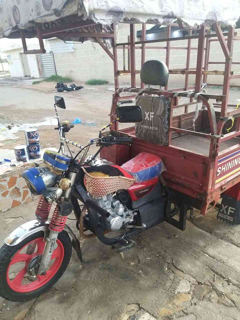 شتوته • فحل • موديل 18