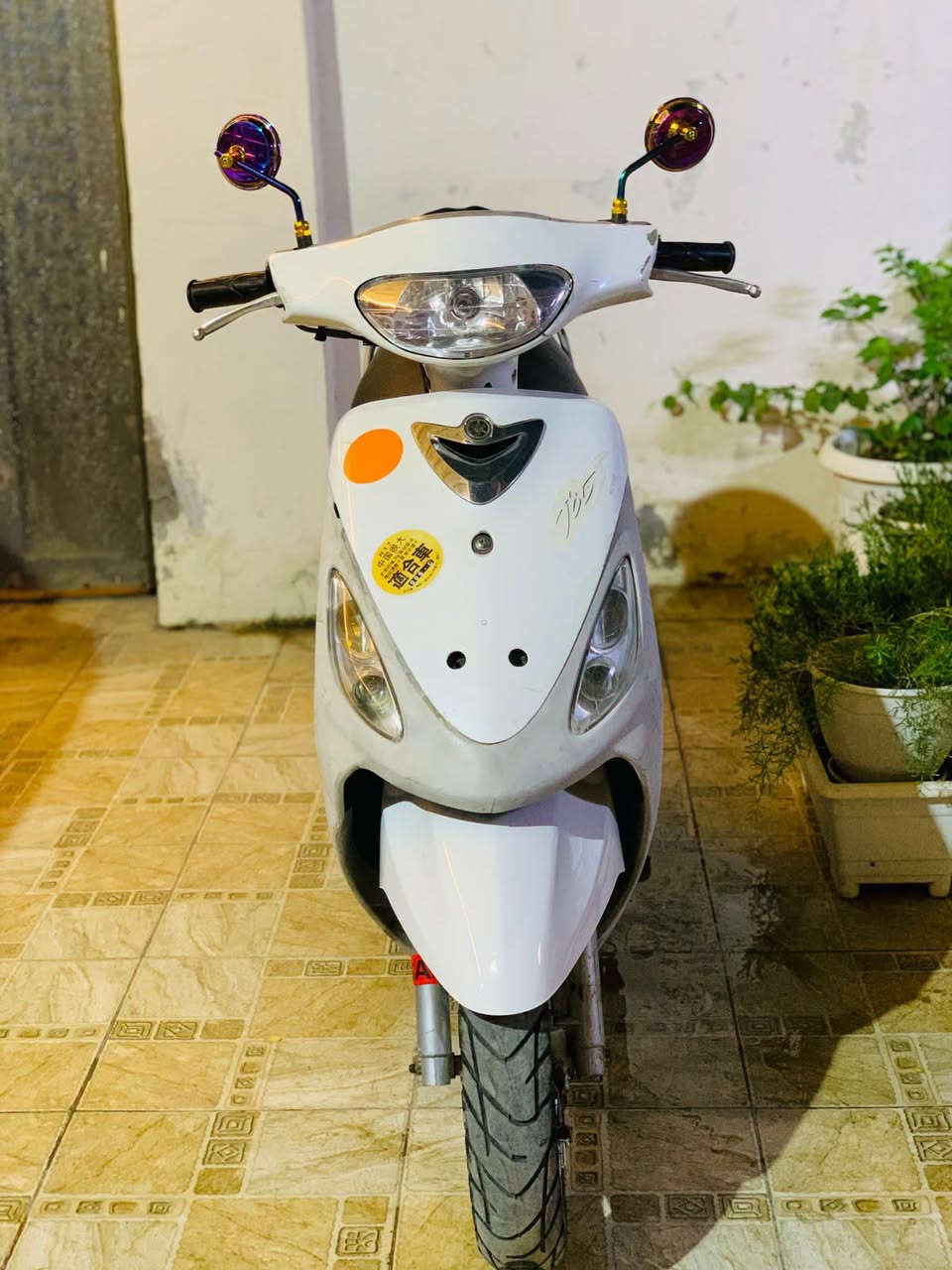 ماكس منغولي كفاله عامه ب750 وبيها مجال حله مركز/***********
