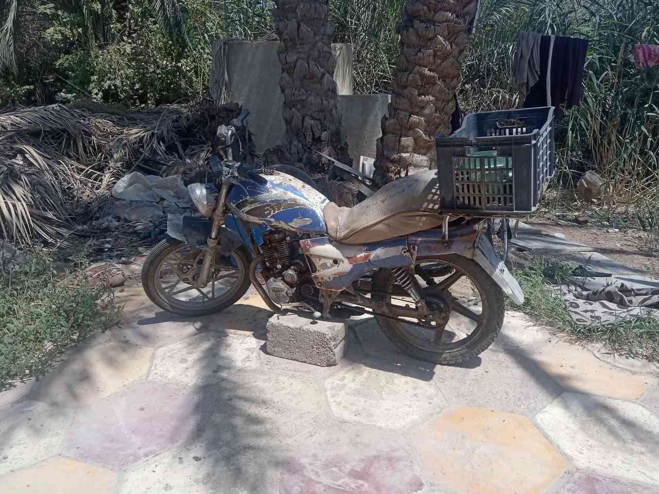فيوم • شعاله • نص هندر