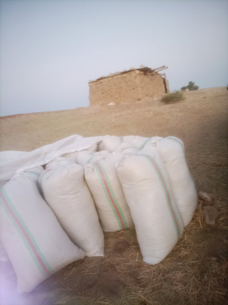 سلام عليكم من رخصت الادمن يوجد تبن جت مال بزر سعر شل 8500 العدد 80 شل اللاستسفار على رقم ***********
